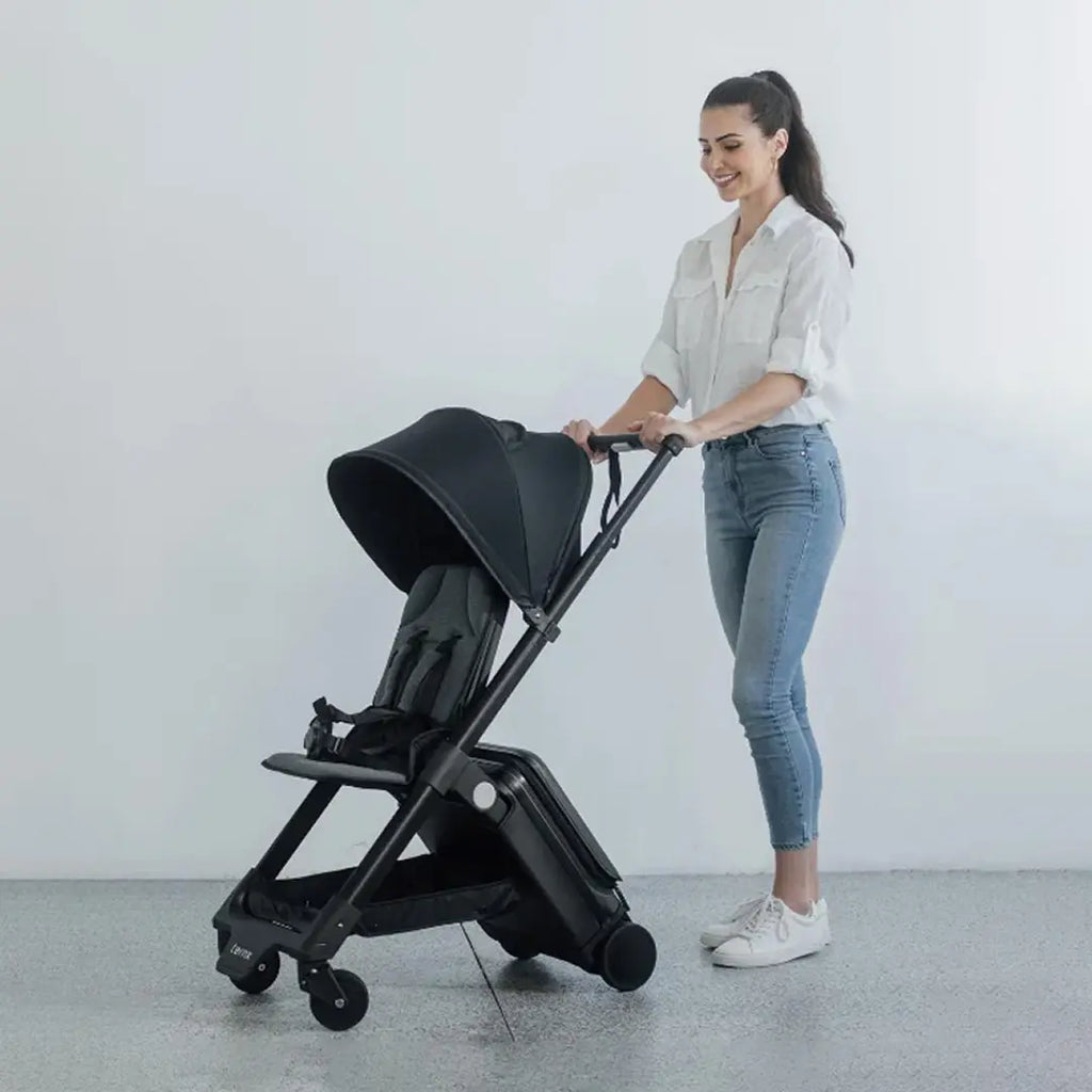 Carry On Luggage Stroller